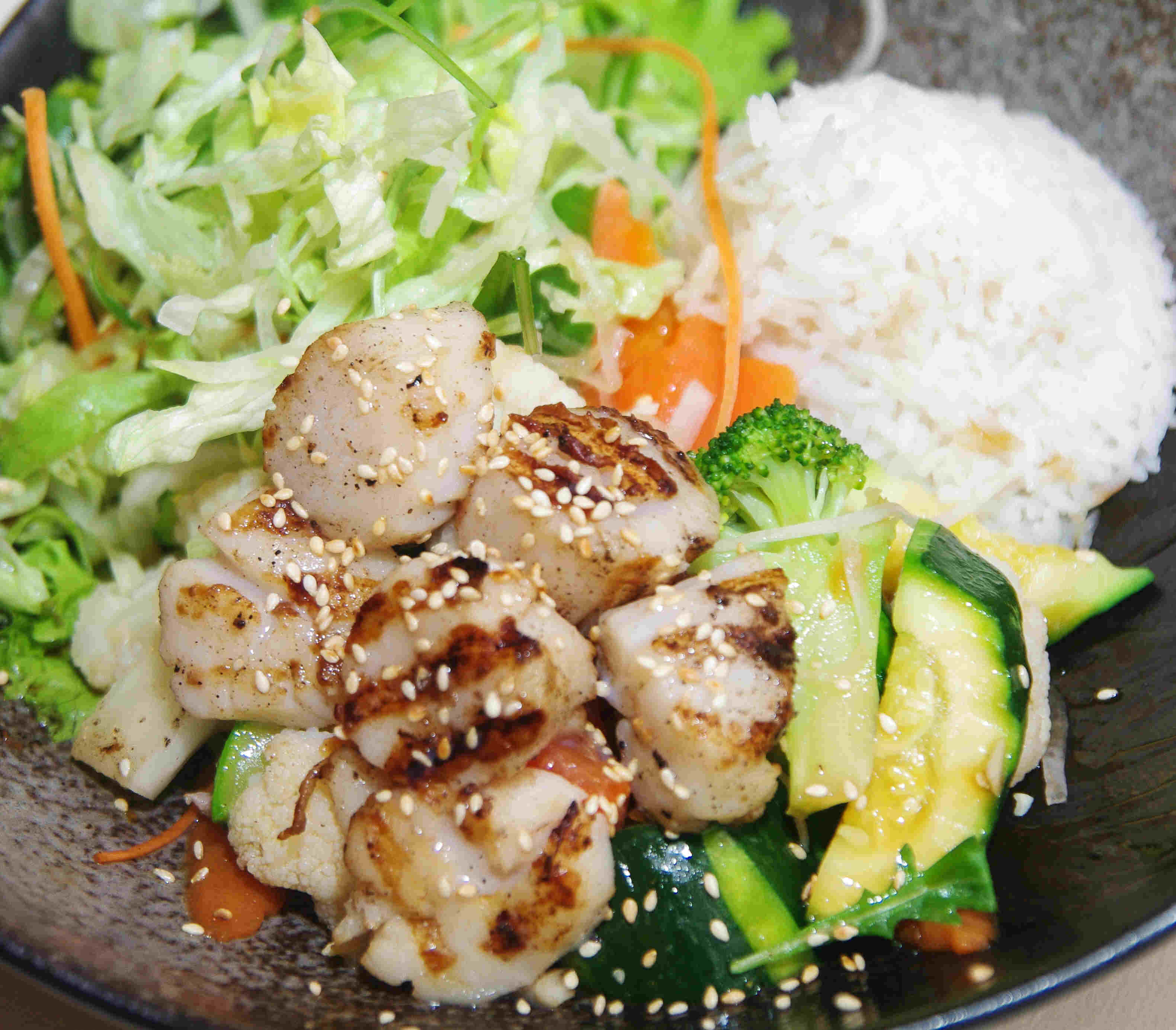 Hikari Special Teriyaki